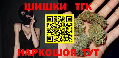 крисы Камышлов