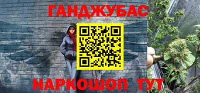 крисы Камышлов